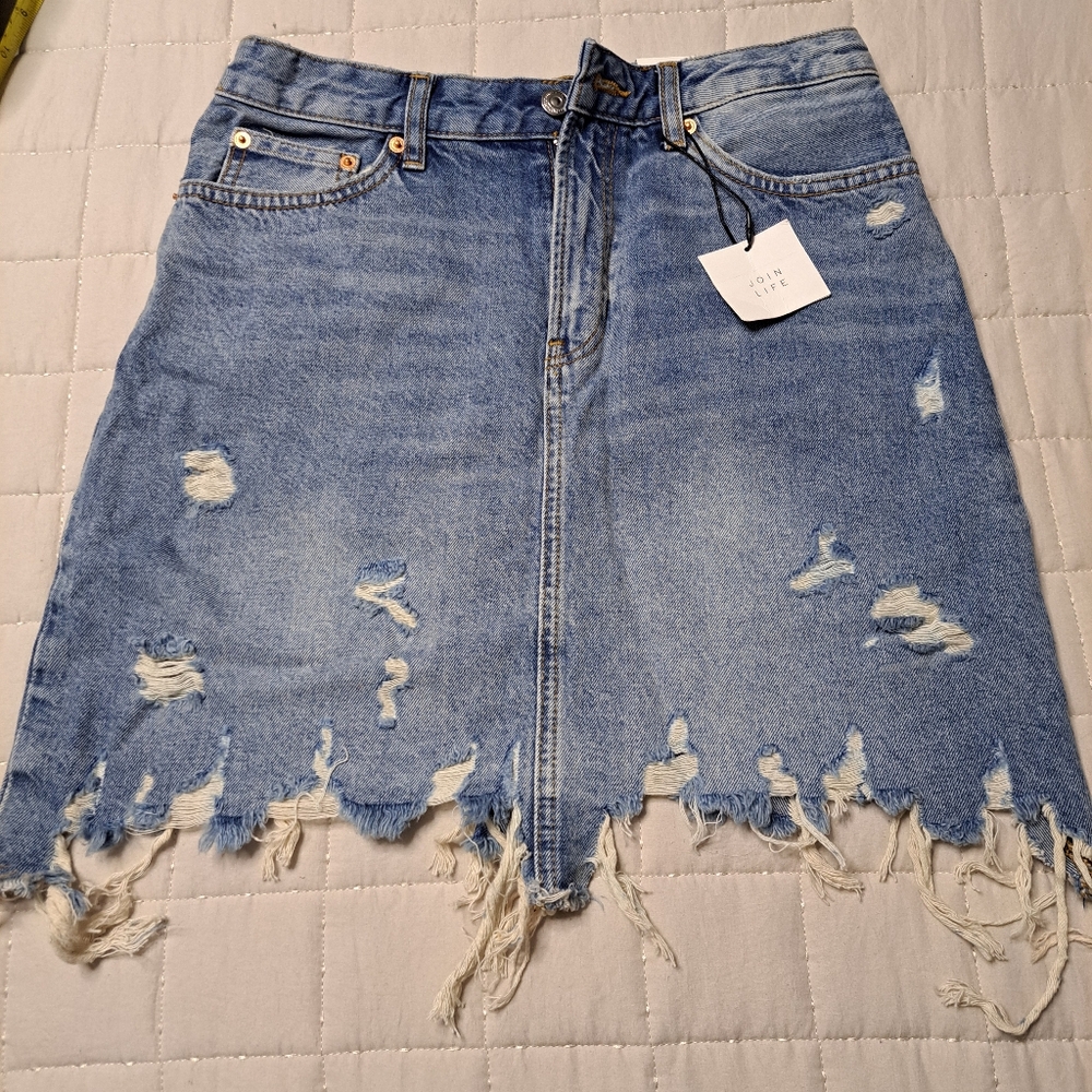 Zara Mini Skirt